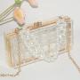 New Acrylic Transparent Bag Female Pearl Chain Handbag Dinner Banquet Hand Messenger Bag bolsos para mujeres