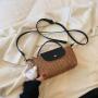 Summer mini woven shoulder crossbody bag