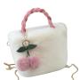 ZR361 2023 New High Capacity Versatile Cherry Bag Chain Strap Crossbody Fashion Handbag Plush Bag Winter Bag