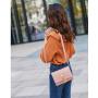 2024 Popular Women's Bag New Korean Fashion Single Shoulder Crossbody Bag Tassel Chain Magnetic Buckle Square  PU Ladies Bag