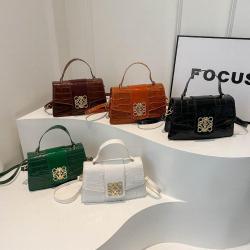 Fashion ladies luxury exquisite small square bag retro lock crocodile pattern handbag crossbody bag Shoulder bag