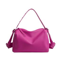 Women's bag 2024 new soft leather net red tote bag large capacity niche senior single shoulder crossbody bag