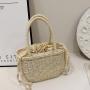 Straw Bag Women 2024 New Ins Fashion Braided Handbag Summer Beach Handbag
