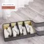 SN004 New Fashion 6 Space Storage Shoe Box Waterproof Zipper Portable Storage Shoe Bag for Travel Organizer Shoe Set Bag