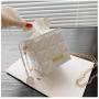 2024 Hot Sale Women Trendy Fashion Handbags Ladies Clutch Bag Women's Mini Tote Bags