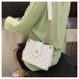 2023 Winter New Fashion Messenger Bag Thread Large Capacity Rivet Bag for Ladies Single Shoulder Chain Small Square Bag