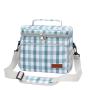 Wholesale Picnic Lunch Cooler Bag Insulated Bag With Custom Logo Insulated Lunch Tote Eco Friendly Cool For Office Work
