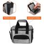 Adult Fitness Lunch Box Insulated Lunch Bag Large Cooler Tote Bag for Men Women Double Deck Cooler Bag