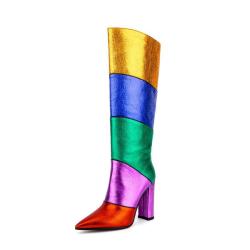 Banquet Botas New Design Ladies Chunky Heels Rainbow Long Boots Women Colorful Pointy Toe Slip On Block Heels Mid Calf Boots