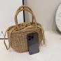 Straw Bag Women 2024 New Ins Fashion Braided Handbag Summer Beach Handbag
