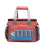 600D Nylon Customized Lunch Bag Multi-functional Fish Pattern Insulation Bag with Adjustable Shoulder Strap Lunch Cooler Bags