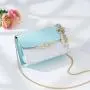Stylish Versatile Golden Chain Strap Ladies Designer Purse Bowknot-decoration Cross Body Messenger Bags For Women