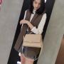2023 / 2024 Luxury Vegan leather women Handbag Leather Chic lady bag Ladies Handbags