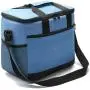 Manufacturer professional Made in china audit factory thermal bag for food cooling thermal insulated lunch bag