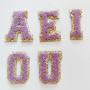 Good Quality DIY All Kinds Of Things By Yourself Chenille Vomel Patch Chenille Letter Hot Letters Patch Chenille Patches