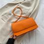 Crocodile Grain Shoulder Bag Handbag Urban Minimalist Fashion Bags For Ladies Girls Cross Section Type Luxury Purse Ry720059