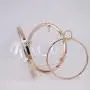 Wholesale wedding party transparent women crossbody evening bag gold round clear acrylic ball clutch purse bag 2024
