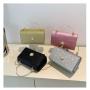 ZR391 Female 2023 Spring New Small Focus Design Chain Shoulder Bag Fashion Simple Small Square Bag Casual Crossbody Bag