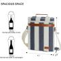 3 Wine Carton Bag Wine Dispenser Travel Cooler Bag  In Box Dispenser Wine Color Purse And Shoe Set