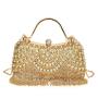 ZWY336 Luxury Rhinestone Ladies Evening Bag Banquet Party Tassel Clutch Bag Wholesale Acrylic Diamond Crossbody Shoulder Bag