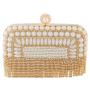 Wholesale ladies clutch bags ladies party purse rhinestone tassel pearl bag handbag evening bags for woman