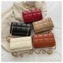 Wholesale Bags For Female 2022  New Indentation Checkered Female Single Shoulder Messenger Bag Chain Mobile Phone Small