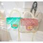 Wholesale Transparent Ladies Jelly Bag Popular Design Women's Handbag PVC Women's Shoulder Bag