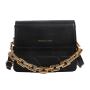 Popular Chain Small Bag for Women 2024 New Fashion Embroidered Wide Shoulder Strap Single Shoulder Bag Crossbody Bag Handbag