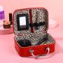 Cosmetic Bag COM004 Large Capacity Handheld Makeup Women Bag Korean Version With Mirror Portable Storage Small Makeup Box