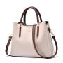 2024 New Bags for Women Fashion Large Capacity Ladies Handbag Messenger Bag Single Strap Chain Portable Middle-Aged Mothers