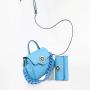 Ladysky 2024 new good quality ladies handbag sets women bags acrylic chain hand bags color hardware luxury bag supplier 23 cm
