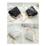 2024 Minimalist Chain Embroidered Small Crossbody Bag Fashionable Lady's Handbag Mini Purse Shoulder Bag for Women