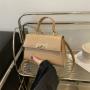 Fashionable Cute Mini PU Leather Women Shoulder Bag Novelty Button Cross Body Purses Crocodile Design Clutch Bag