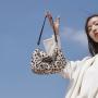 Fashion Women Leopard Hasp Handbags  China Wholesale Wool Ladies Shoulder Bag Zipper Pillow Chain Handbag