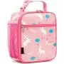Cute Insulated Thermal Lunch Box Container Reusable Cooler Tote Bag for School Picnic and Travel for Kids for Girls and Boys