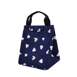 Multi Functional Adult Lunch Box waterproof lunch Insulated ice cooler tote bag