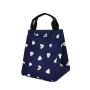 Multi Functional Adult Lunch Box waterproof lunch Insulated ice cooler tote bag