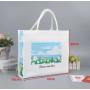ZWY249 Customizable LOGO Environmental Canvas Bag New Corporate Promotional Organizer Bag Wholesale Daily Practical Shopping Bag