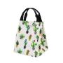Multi Functional Adult Lunch Box waterproof lunch Insulated ice cooler tote bag