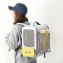 New Design Airline Approved Dog Cat Pet Cages Bag for small dog and cats pet travel bag carrier bag