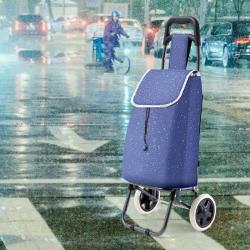 LX071 Foldable Backpack Trolleys Carts School Bag Luggage Handle Bag Accessories Home Folding Shopping Cart Travel Trolley