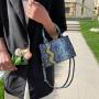 KBW291 2023 New Snake Print Material Colorful Kylie Bag High Quality Versatile Single Shoulder Crossbody Chain Bag