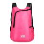Outdoor Camping Foldable Backpack Custom Logo Waterproof Lightweight Travel Daypack Backpack