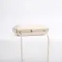2024 New Acrylic Personalized Dinner Bag Handheld Dress Bag