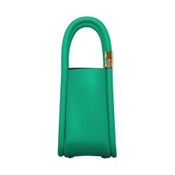 2024 Custom Logo Premium Womens Handbags Shoulder Bags Doctor Bag Portable Chic Design Luxury Hardware Ladies Bucket Hand bags