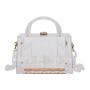 Fashion Ladies Designer Bags Elegant Women Clear Purse Crystal Acrylic Clutch Bag With Golden Lock Hasp Trendy Shoulder Handbag