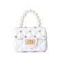 Factory wholesale Ladies Transparent Jelly Bag ladies handbag women's bag Korean style female shoulder crossbody bags