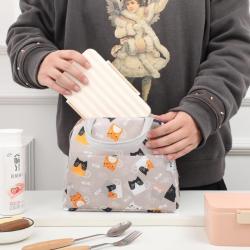 ZR175 Colorful Thermal Insulation and Cold Insulation Large Capacity Lunch Bag with Lunch Aluminum Foil Thickened Bento Bag