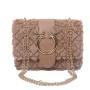 Small Bag for Women 2024 New Fashion Versatile Chain Lamb Plush Single Shoulder Bag Western Style Crossbody Bag