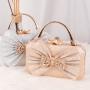 Small Square With Sequins Bow Tie Clutch Bag Evening Bags Set Auger Evening Luxury Bag